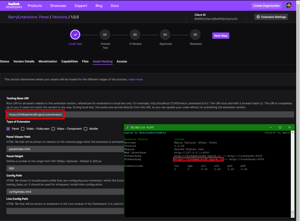 The Dev Console configured with a NGROK URL